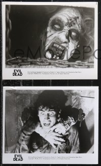 9t1068 EVIL DEAD 4 8x10 stills 1982 Sam Raimi cult classic, Bruce Campbell, Renaissance & New Line!