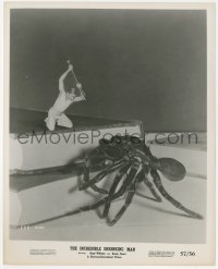 1a1531 INCREDIBLE SHRINKING MAN 8x10 still 1957 tiny Grant Williams with needle & huge tarantula!