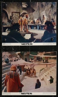 1a1680 PLANET OF THE APES 2 color 8x10 stills 1968 Charlton Heston, Whitmore, Hunter, McDowall!