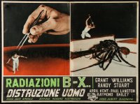 1a1886 INCREDIBLE SHRINKING MAN Italian 20x26 pbusta 1960 w/Grant Williams fighting giant spider!