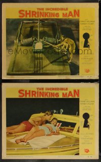 1a1035 INCREDIBLE SHRINKING MAN 2 LCs 1957 tiny Grant Williams w/huge mouse trap & before he shrank!