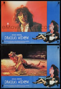 1a1841 DRACULA'S WIDOW 7 13x18 special posters 1989 Christopher Coppola directed, horror images!