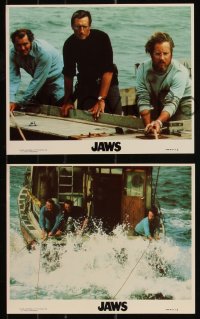 1a1645 JAWS 4 8x10 mini LCs R1979 Roy Scheider, Robert Shaw, Dreyfuss, Spielberg's shark classic!