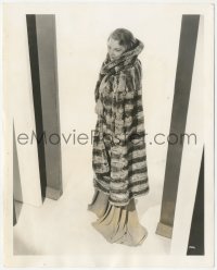 1b2246 ELIZABETH ALLAN deluxe 8x10 still 1935 modeling cape of chinchilla fur by Clarence S. Bull!