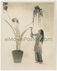 1b2336 MARGUERITE CHURCHILL deluxe 8x10 still 1920s in cool dress by fake plant by Max Mun Autrey!