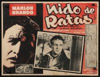 1b0163 ON THE WATERFRONT Mexican LC R1960s directed by Elia Kazan, c/u of Marlon Brando with gun!