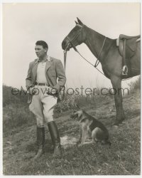 1f2327 GEORGE BRENT deluxe 8x10 still 1935 with his polo pony and greyhound by Scotty Welbourne!