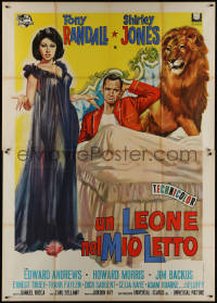 1f1504 FLUFFY Italian 2p 1965 art of huge lion & Tony Randall w/pretty Shirley Jones, ultra rare!