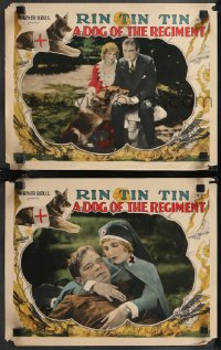 1f0844 DOG OF THE REGIMENT 2 LCs 1927 German Shepherd dog hero Rin Tin Tin in the border, ultra rare!