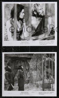 1f2530 PLANET OF THE APES 3 8x10 stills 1968 Charlton Heston & sexy Linda Harrison, Whitmore!