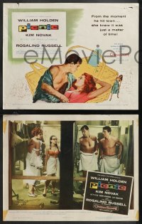 1f0780 PICNIC 8 LCs 1956 William Holden, Kim Novak, Rosalind Russell, Joshua Logan directed!