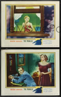 1f0823 PROWLER 5 LCs 1951 Evelyn Keyes, Van Heflin, film noir directed by Joseph Losey!