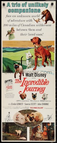 1g1002 INCREDIBLE JOURNEY insert 1963 Disney, art of Bull Terrier, Siamese cat & Labrador Retriever!