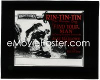 1j0631 FIND YOUR MAN glass slide 1924 great image of Rin-Tin-Tin attacking bad guy, his 5th movie!