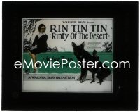 1j0657 RINTY OF THE DESERT glass slide 1928 Rin Tin Tin with monkey on his back by Audrey Ferris!