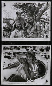 1j1603 LIVING FREE 92 8x10 stills 1972 Elsa the Lioness was Born Free, MANY great images!