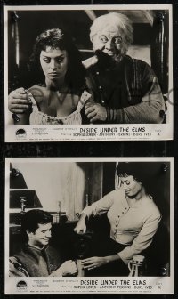 1j0186 DESIRE UNDER THE ELMS 6 English FOH LCs 1958 Burl Ives, sexy Sophia Loren & Anthony Perkins!