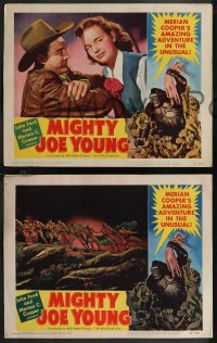 1p1354 MIGHTY JOE YOUNG 4 LCs 1949 first Ray Harryhausen, Gene Widhoff art of ape vs cowboys!