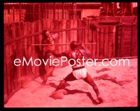 1s0390 SPARTACUS group of 3 4x5 transparencies 1960 Kirk Douglas & Woody Strode fighting by Lane!