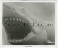 1t2251 JAWS 8.25x9.75 still 1975 best close up of Bruce, the great white shark with his mouth open!