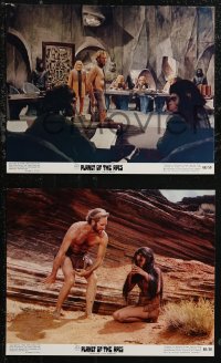 1t2440 PLANET OF THE APES 3 color 8x10 stills 1968 images of Charlton Heston and sexy Linda Harrison!