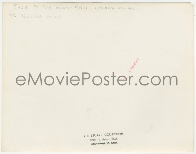 eMoviePoster.com: 1t2139 BACK TO THE WOODS 8x10.25 still 1937 Three ...