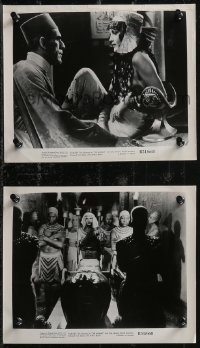 1y1772 MUMMY 2 8x10 stills R1951 Boris Karloff with sexiest Zita Johann, cool procession in hall!