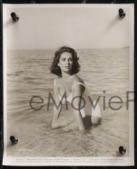 1y1720 ELIZABETH TAYLOR 3 8x10 stills 1960s great images, 1 w/ sexy image from Suddenly Last Summer!