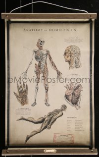 2a0537 SHAPE OF WATER 17x27 special poster 2017 anatomy chart of the Amphibian Man w/ special tube!