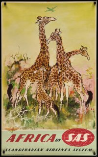 2a0327 SAS AFRICA 25x39 Danish travel poster 1955 Otto Nielsen wildlife art of giraffes!