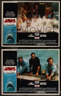 2a0516 JAWS 8 LCs 1975 Roy Scheider, Robert Shaw, Richard Dreyfuss, Steven Spielberg, great scenes!