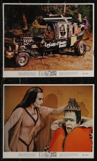 2b2183 MUNSTER GO HOME 3 color 8x10 stills 1966 great images of Fred Gwynne and Yvonne De Carlo!