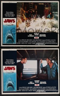 2b1445 JAWS 5 LCs 1975 Roy Scheider, Robert Shaw, Richard Dreyfuss, Gary, Steven Spielberg!