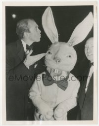 2f1910 HARVEY 6.25x8 news photo 1950 James Stewart in London standing by man wearing rabbit costume!