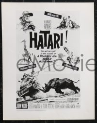 2f1618 HATARI 14 8x10 stills 1962 Howard Hawks African adventure, John Wayne, sexy Elsa Martinelli!