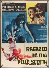 2j0532 LEARNING TREE Italian 1p 1970 different Olivetti art, directed by Gordon Parks, rare!