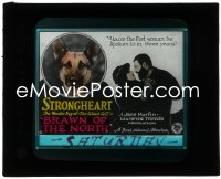 2p1732 BRAWN OF THE NORTH glass slide 1922 Strongheart The Wonder Dog of The Silent Call!