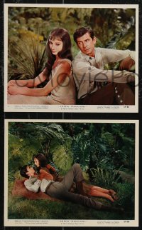 2p2028 GREEN MANSIONS 12 color 8x10 stills 1959 lovers Audrey Hepburn & Anthony Perkins in jungle!