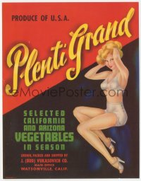 2t1566 PLENTI GRAND 7x9 crate label 1940s pin-up art of sexy blonde woman in her underwear & heels!