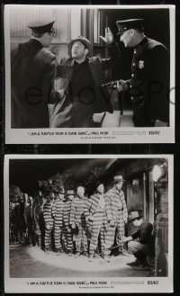 2y1966 I AM A FUGITIVE FROM A CHAIN GANG 15 8x10 stills R1956 convict Paul Muni on a chain gang!