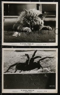 2y1994 INCREDIBLE SHRINKING MAN 10 8x10 stills 1957 Grant Williams, most are special effects scenes!