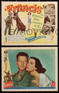 2y1418 FRANCIS THE TALKING MULE 8 LCs 1949 images of Donald O'Connor, Patricia Medina & the donkey!