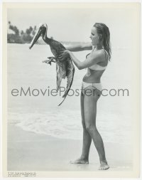 3b0885 DR. NO 8x10.25 still 1963 sexy Ursula Andress in two-piece bikini holding pelican on beach!