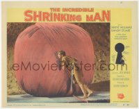 3d0786 INCREDIBLE SHRINKING MAN LC #7 1957 great fx close up of tiny man with nail by yarn ball!