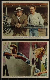 3f1334 LONG, HOT SUMMER 7 color English FOH LCs 1958 Joanne Woodward, Orson Welles, Tony Franciosa!