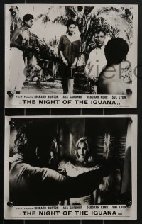 3f1326 NIGHT OF THE IGUANA 8 English FOH LCs 1964 Burton, Gardner, Lyon, Kerr, Huston!