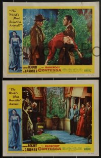 3f0852 BAREFOOT CONTESSA 4 LCs 1954 Bogart and sexy Ava Gardner, world's most beautiful animal!