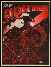 3k1910 GHOST RIDER signed #16/115 18x24 art print 2014 Methane Studios, Mondo, variant edition!