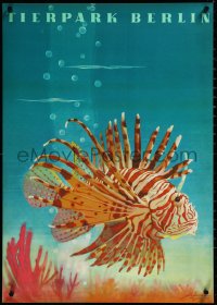 3m0132 TIERPARK BERLIN 23x32 East German special poster 1964 art of lionfish by Naumann!