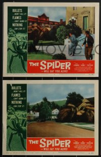 3p1478 SPIDER 8 LCs 1958 cool special effects scenes of the giant insect attacking, complete set!